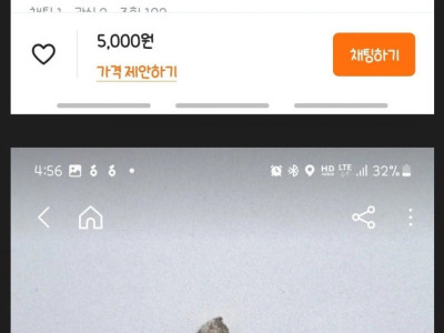 당근 마켓 근황