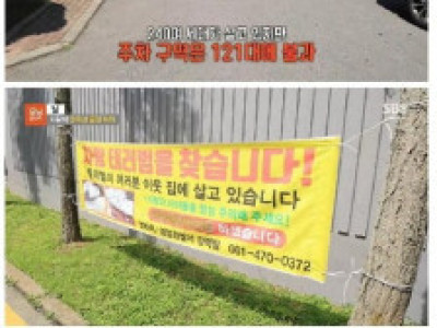 장애인구역 주차 신고 좀 그만해라. 속 좁고 모자란 XX