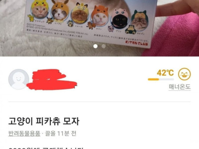 고양이 모자를 당근마켓에 팔수밖에 없는이유.jpg