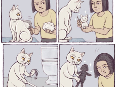 쥔님, 털이 정말 많이 빠지는 것 같아요..jpg