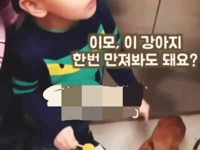 이모 이 강아지 한번 만져봐도 돼요?..JPG