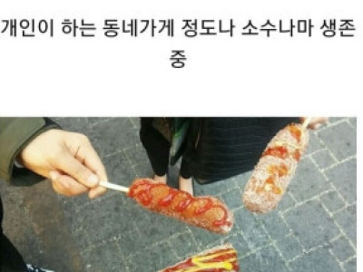 탕후루의 미래.jpg