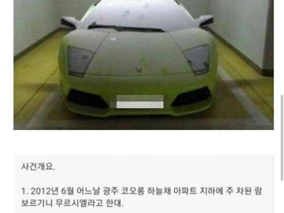 초딩 람보르기니 파손 레전드 사건 후기