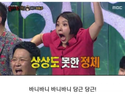 MZ 바니당근걸