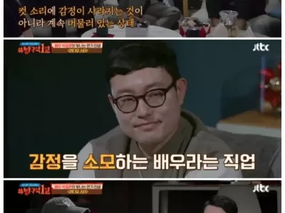 배우라는 직업이 정신건강에 좋지 않은 이유 ㄷ..JPG