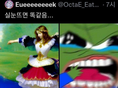 실눈뜨면 두 사진 똑같이 보임