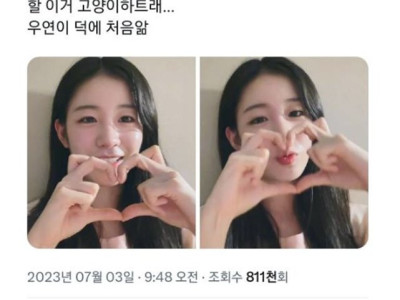 아이돌 사이에서 유행하는 고양이하트.jpg