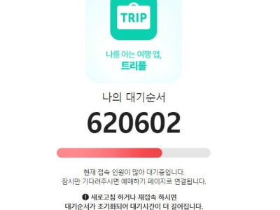 임영웅 콘서트 대기 인원.jpg