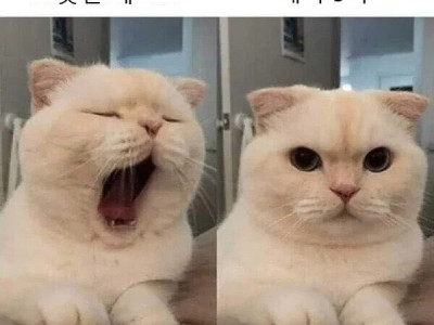 항상 피곤한 사람들 특징