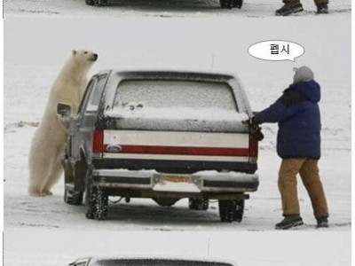 펩시의 위험성