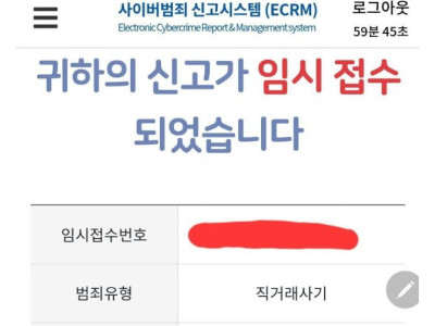 닌텐도도 없으면서 칩은 있는 디시인.jpg