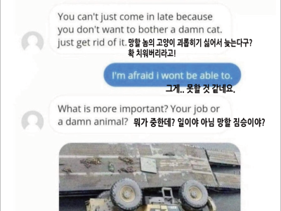 차 지붕에 고양이가 있어서 늦어요.jpg