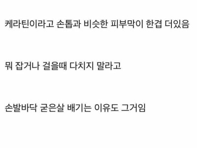 흑인이 손바닥만 하얀 이유