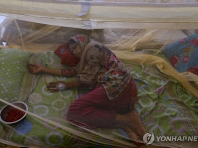 기후변화가 불러온 모기떼…사망자 속출