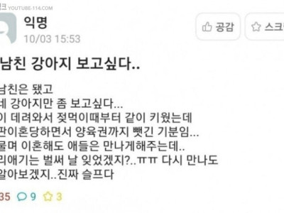 전남친 강아지가 보고싶어.jpg