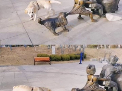 착한 댕댕이.jpg