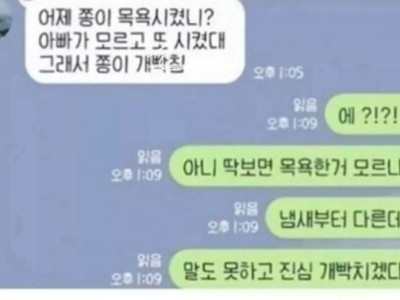 목욕 2번한 강아지 ㄱㅇㅇ