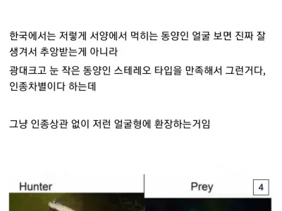 서양에서 좋아한다는 얼굴형.jpg