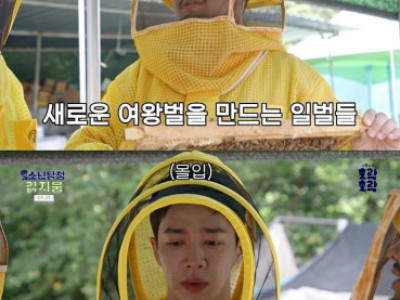 알고보면 슬프다는 여왕벌의 삶