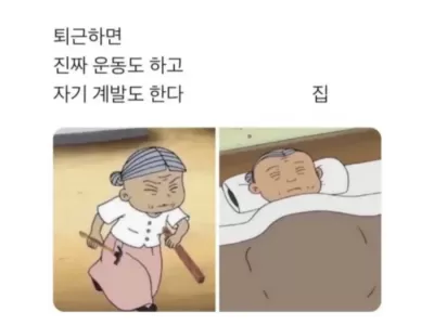 생각과 현실