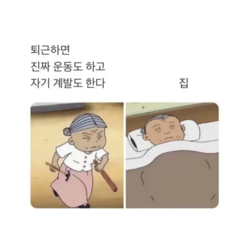 16951942566618.webp