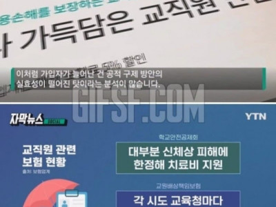 요즘 핫하다는 보험