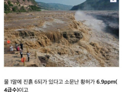 디갤] 한때 인도 겐지즈 강보다 더러웠다는 한국의 강.jpg