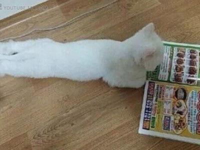 배달앱 없던 시절 주말.jpg