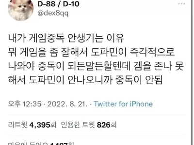 게임중독 안생기는 이유 jpg