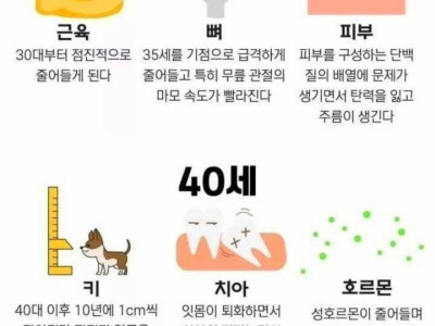 신체 노화 나이