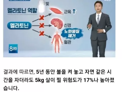 살쪄도 매일매일 꼭 해야하는것.jpg