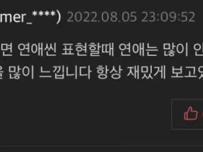 차라리 쌍욕하라는 선플.jpg