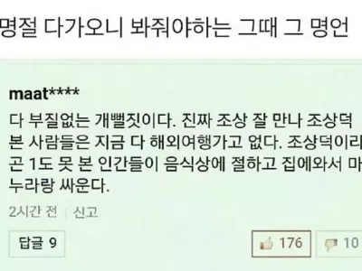 명절 차례상 댓글 올타임 레전드 ㄷ..JPG