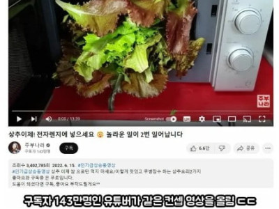 97만 유튜버 소재 뺏어간 143만 유튜버 ㄷㄷ