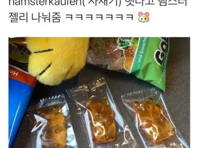 독일에서 사재기를 일컫는 말.jpg