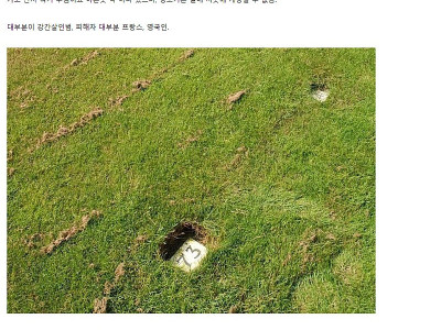 불명예스러운 미군들의 영원한 감옥.jpg