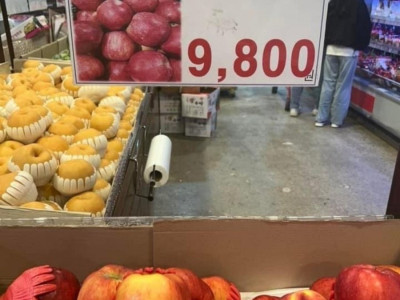 사과 가격 근황