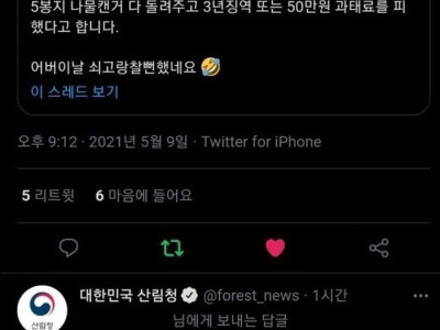 고전] 공원에서 나물 캐는데 드론이 날아옴.jpg