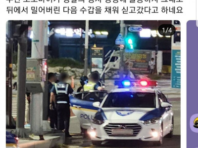 딸배헌터 대전 경찰 저격 효과