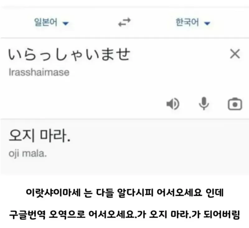 16958770103439.webp
