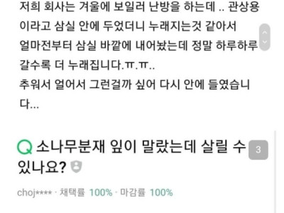 선물로 자주 주고받는데 키우기 쉽지 않은 식물