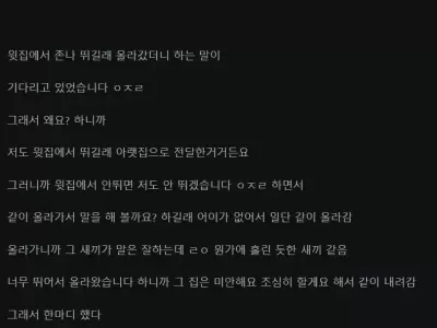 윗집에서 뛴다고 자기도 뛴다는 윗집