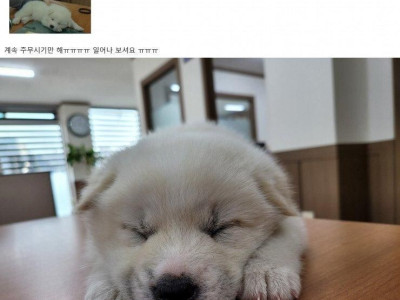 부장님이 회사에 막내딸이라며 데려옴.jpg