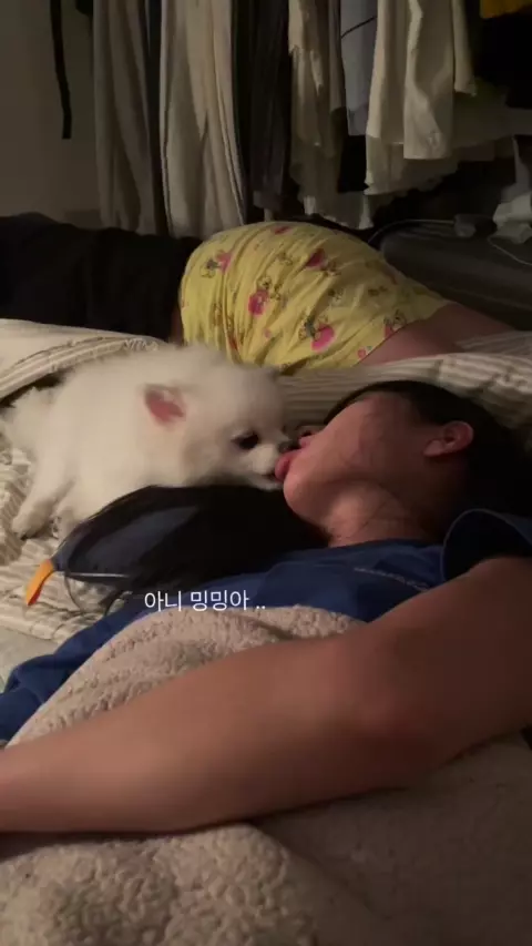 잠든 누나 몰래 딥키스