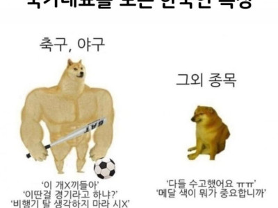 유독 축구,야구만..
