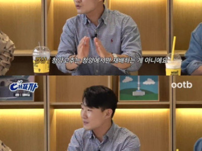 청양고추의 원조.jpg