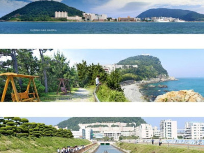 섬 전체가 캠퍼스인 우리나라 대학교.jpg