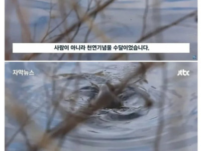 대전에서 5천만 원어치 잉어 수백 마리 훔쳐 간 범인 jpg