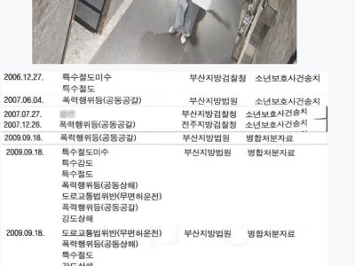 이력서 칸이 부족한 부산 돌려차기남