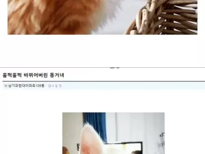 동거녀 격변 극과극